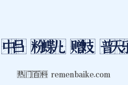 中吕·粉蝶儿·赠妓·普天乐是什么意思的图片